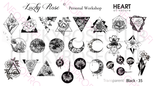 Слайдер BLACK - 35