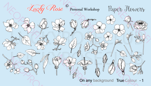 Слайдер TRUE COLOUR - 1 Слайдер TRUE COLOUR - 1