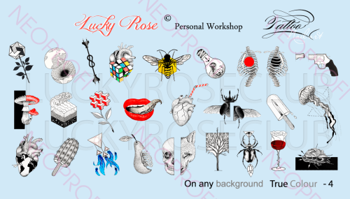 Слайдер TRUE COLOUR - 4